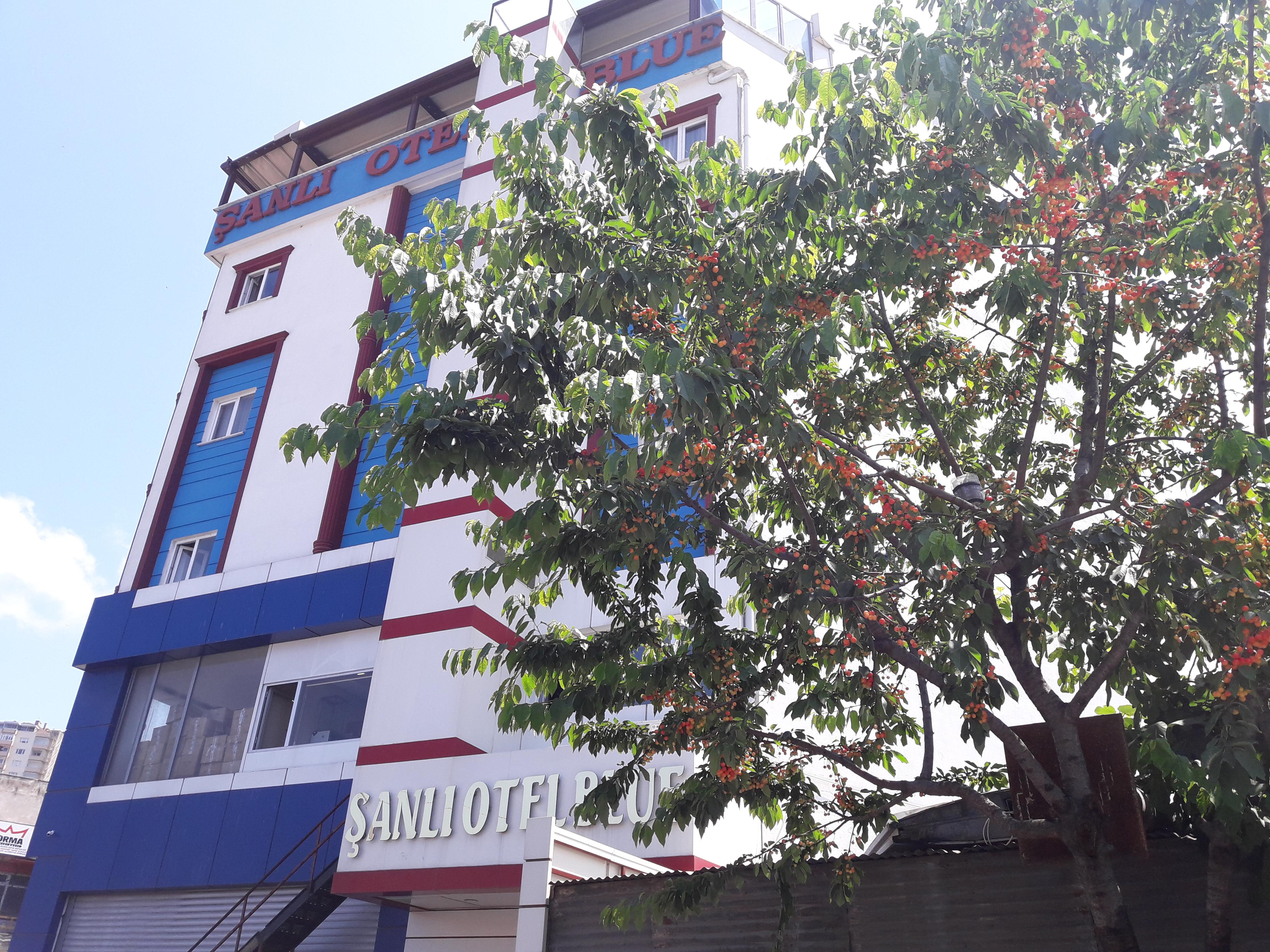 Sanli Hotel Blue Trabzon Kültér fotó